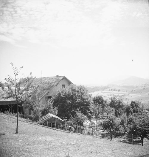 Fotografie, Bauernhof