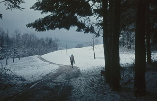 Fotografie, Beim Farnsburghof, Waldrand am Farnsberg