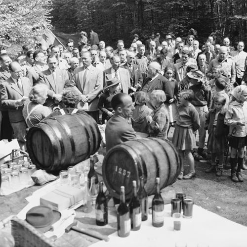 Fotografie, Liestal, Banntag, Dreilaufbuche