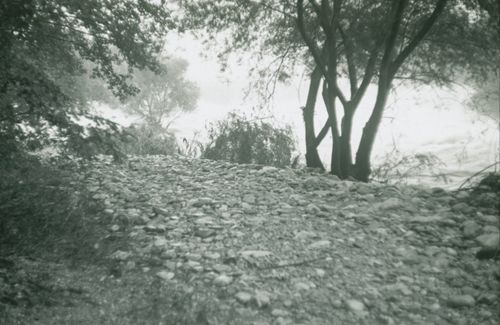 Fotografie, Münchenstein, Bruschi, Hochwasser in der Birs
