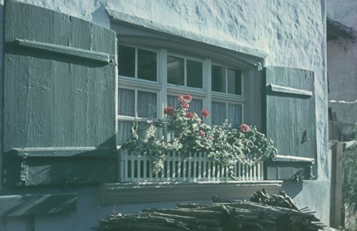 Fotografie, Fenster mit Blumen