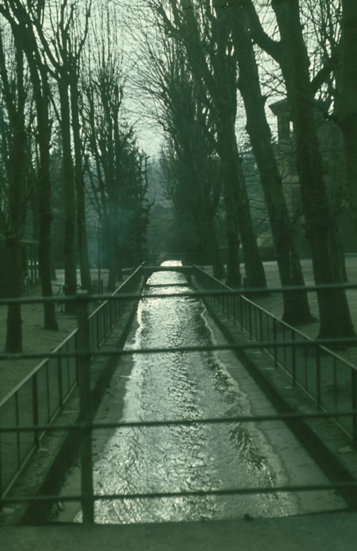 Fotografie, Liestal, Allee