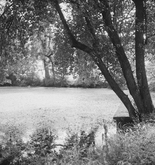 Fotografie, Bubendorf, Wildenstein, Weiher östlich Schloss