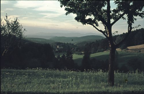 Fotografie, Bubendorf, Landschaft bei Schloss Wildenstein