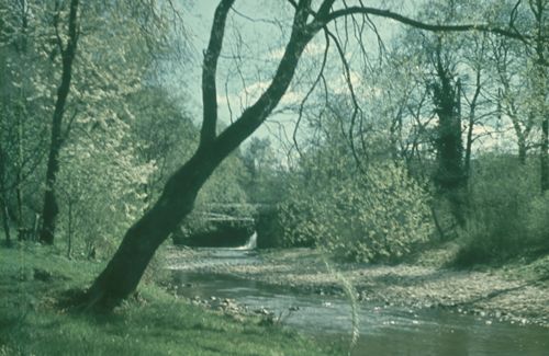 Fotografie, Liestal, Ergolz beim Kessel