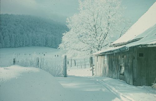 Fotografie, Raureif bei Bauernhof