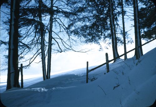 Fotografie, Waldenburg, Waldweide, Winterlandschaft