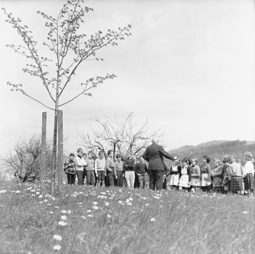 Fotografie, Liestal, Friedenslinde, Klasse C.A.Ewald