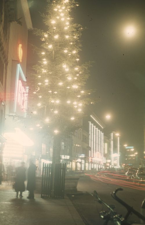 Fotografie, Basel, Steinenvorstadt, Weihnachtsbeleuchtung