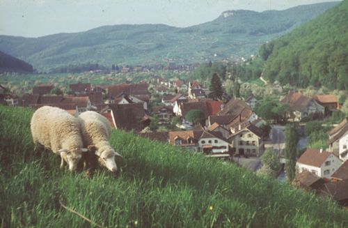 Fotografie, Zunzgen, Blick vom Büchel