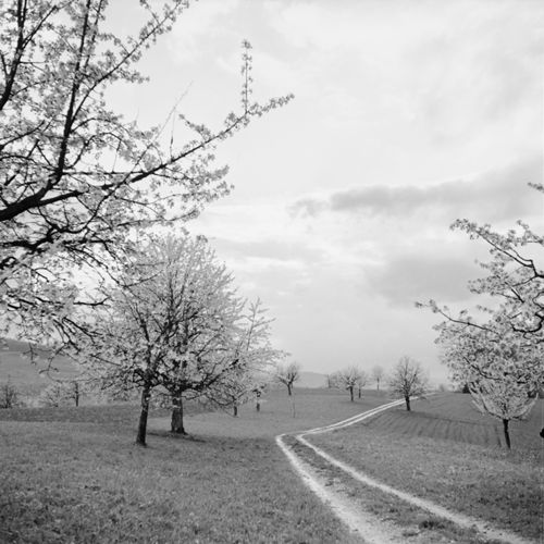 Fotografie, Wolkenstimmung