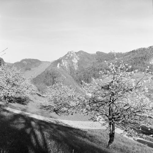 Fotografie, Landschaft
