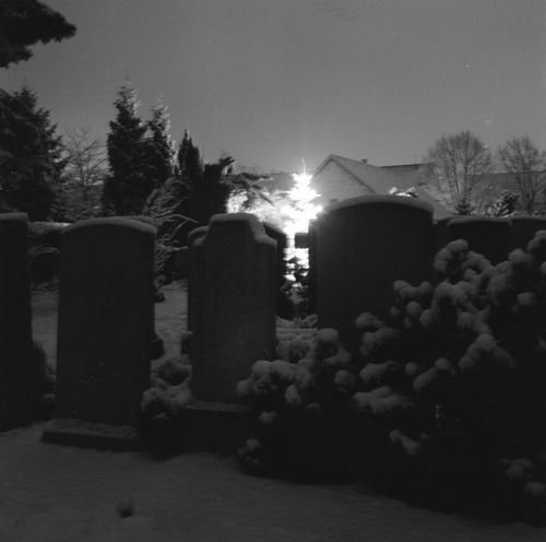 Fotografie, Liestal, Friedhof im Winter