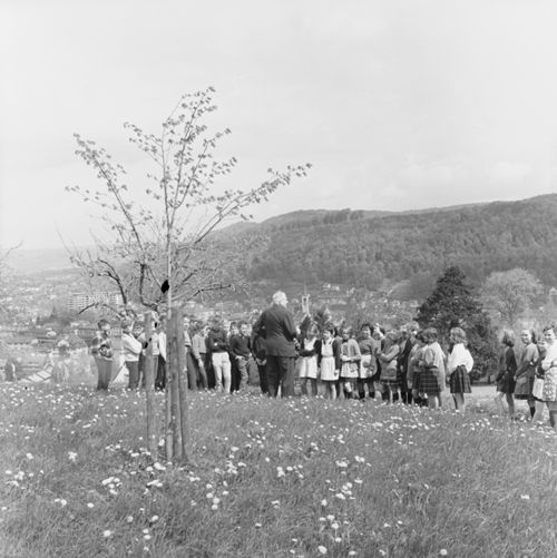 Fotografie, Liestal, Friedenslinde, Klasse C.A.Ewald