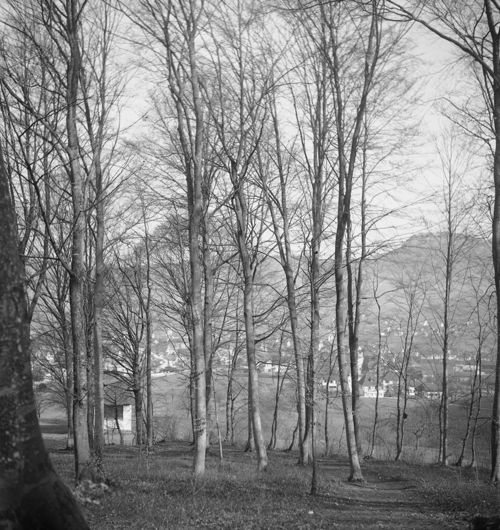 Fotografie, Sissach mit Fluh von Burgenrain