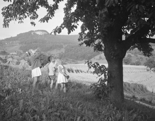 Fotografie, Itingen, Kinder unter Apfelbaum