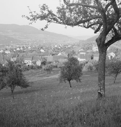 Fotografie, Ittigen -> Sissach