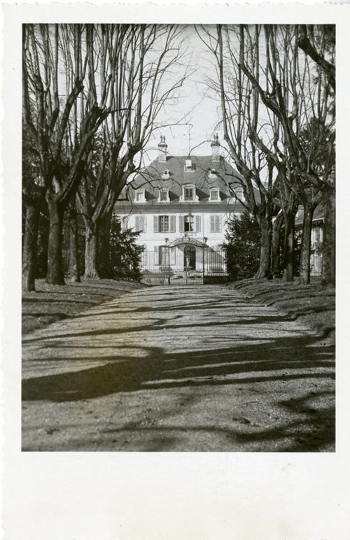Fotografie, Sissach, Schloss Ebenrain, Allee
