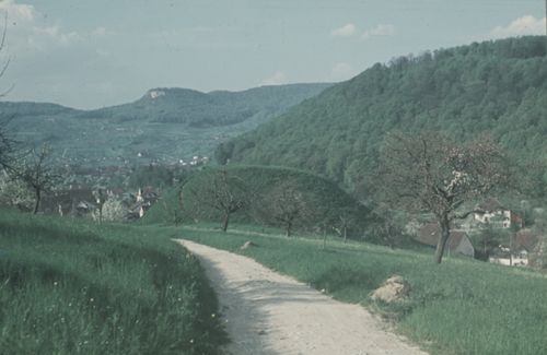 Fotografie, Zunzgen, Büchel von Osten