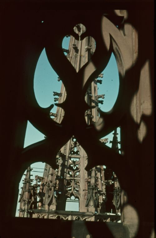 Fotografie, Basel, Münster