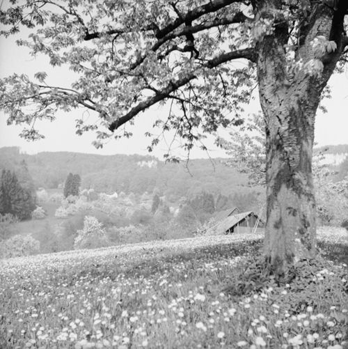 Fotografie, Frenkendorf, Schauenburgerfluh
