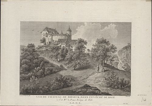 Née - Druckgrafik, Vue du Château de Birseck, dans l'Evêché de Bale.