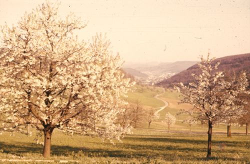 Fotografie, Liestal, Röserental