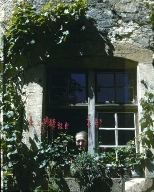 Fotografie, Nusshof, Frau Fricker blickt aus dem Fenster