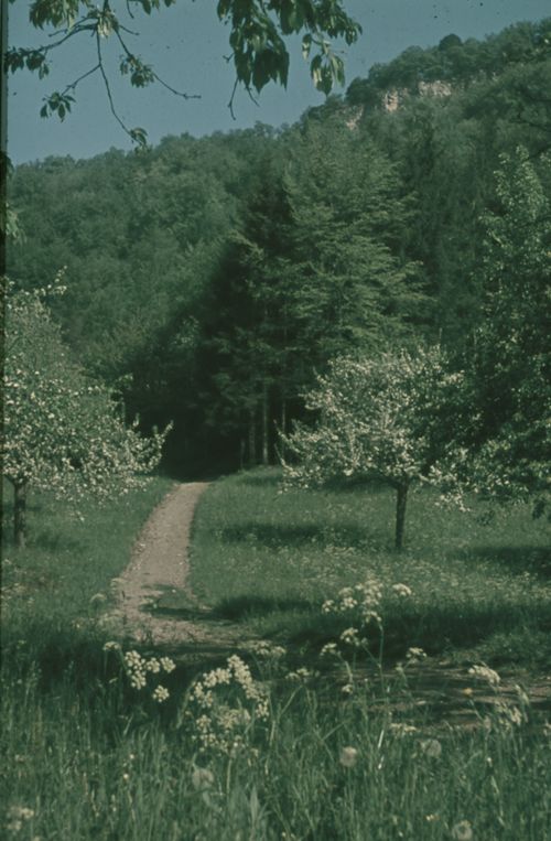 Fotografie, Bei Liestal, Rote Fluh