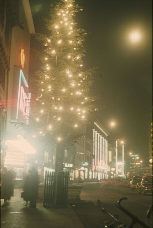 Fotografie, Basel, Steinenvorstadt, Weihnachtsbeleuchtung