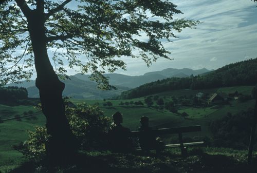 Fotografie, Liestal, Chüngelbrunnen