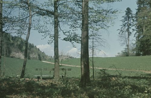 Fotografie, Gelterkinden, Weg zur Farnsburg