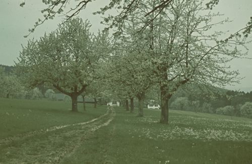 Fotografie, Liestal, Sichtern