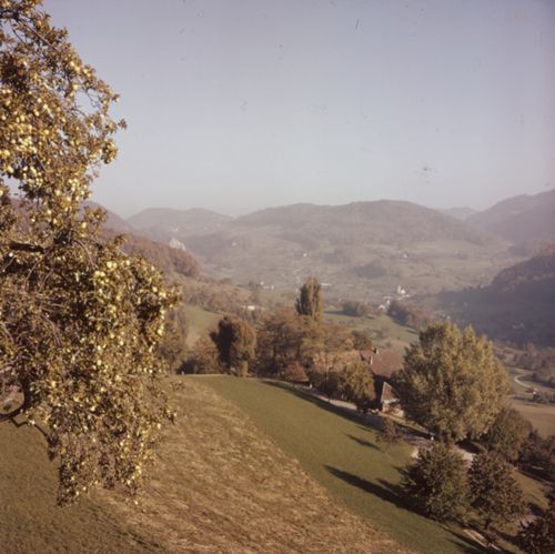 Fotografie, Reigoldswil, Eichen -> Titterten, Apfelernte