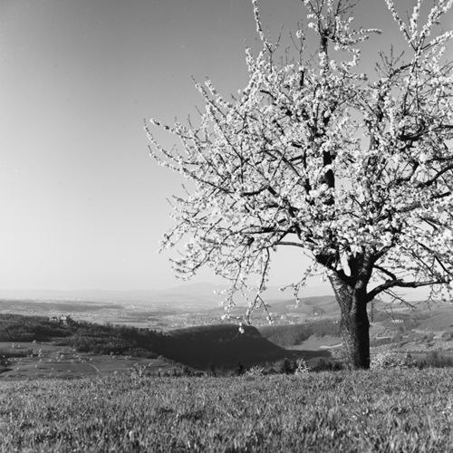 Fotografie, Landschaft