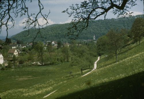 Fotografie, Liestal, Oristal, Schwieriwegli gegen Norden