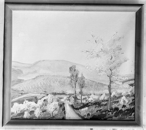 Fotografie, Reproduktion: Landschaft