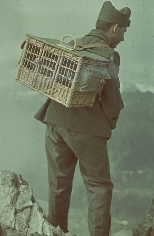Fotografie, Brieftauben-Tragkorb