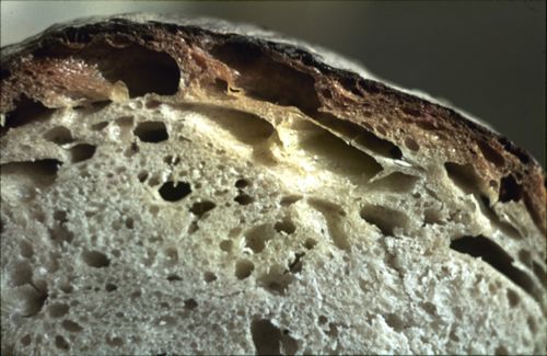 Fotografie, Bauernbrot aus Anwil