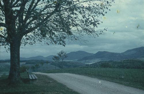 Fotografie, Lampenberg, Obetsmatt, Blick nach Osten zum Wisenberg