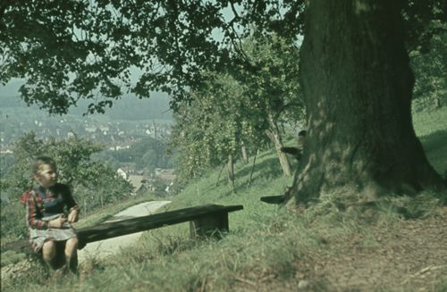 Fotografie, Liestal, Chüngelbrunnen, Schüler