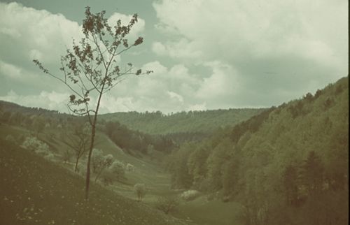 Fotografie, Liestal, Brunnenbachtal