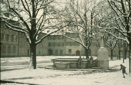 Fotografie, Basel, Münsterplatz, Pisoni-Brunnen