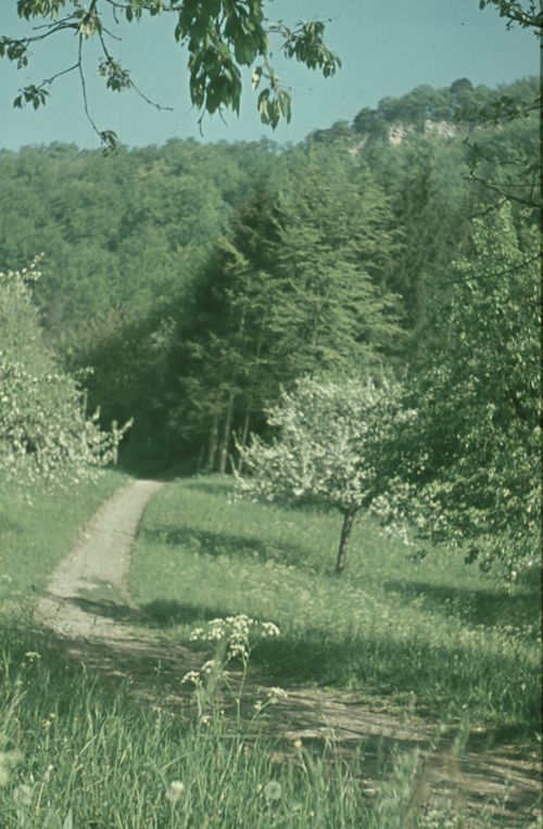 Fotografie, Liestal, Rote Fluh, Wiesenweg