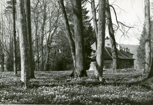 Fotografie, Sissach, Schloss Ebenrain, Parkanlage im Frühling
