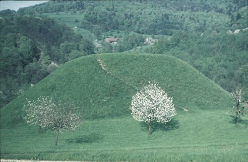 Fotografie, Zunzgen, Büchel von Westen vor der Grabung