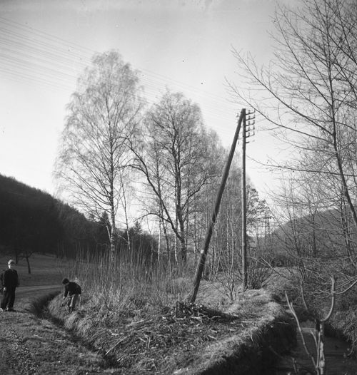 Fotografie, Liestal, Röserental