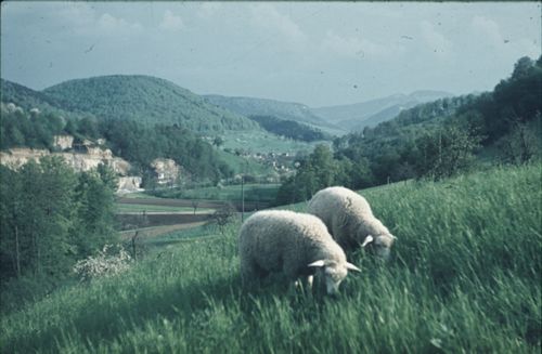 Fotografie, Zunzgen, Ausblick vom Büchel