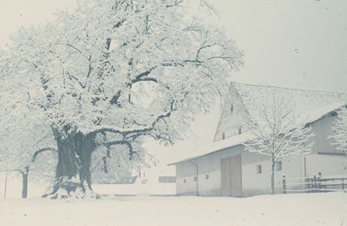 Fotografie, Buus, Farnsburg-Hof, Winterlandschaft