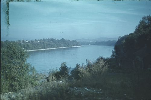 Fotografie, Pratteln, Rhein bei Saline Schweizerhalle